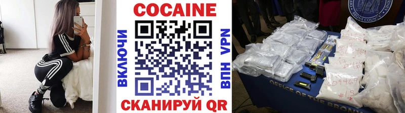 COCAIN FishScale  где купить наркоту  Гвардейск 