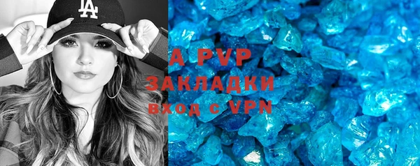 стафф Алзамай