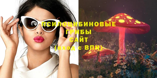 молекула духа Алексин