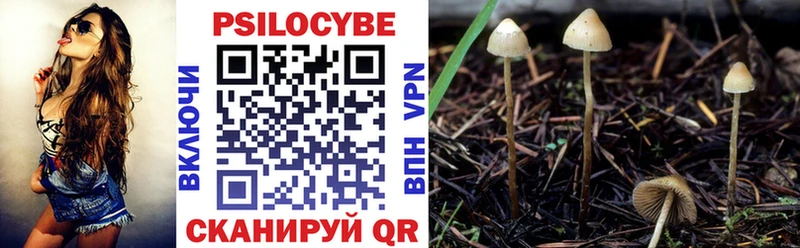 Галлюциногенные грибы Psilocybe  купить  цена  Гвардейск 